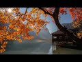 Ф. Шопен - Ноктюрн - Осень.... - Frеdеric Chopin - Nocturne op.9 