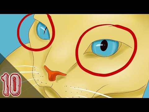 I migliori mezzi da lyambliya a bambini Parassiti in un cervello della persona
