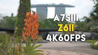 2 Minutes of Sony A7SIII vs Nikon Z6II Cinematic 4K60fps at Gardens by the Bay Singapore
