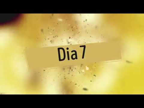 RFM SOMNII 2019 Dia 7 (Don Diablo, James Hype, Jonas Blue, Third Party, Tyga)