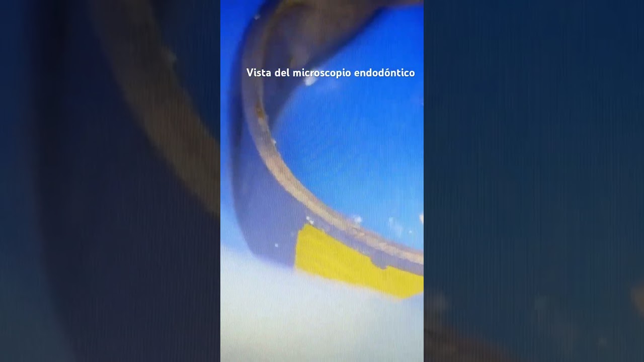 Daniel Ortiz Licea-10