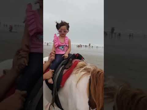 fun day at beach 🏖️🏖️🏖️