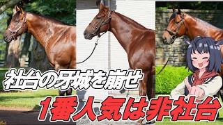 【200頭越えが当たり前】１位人気は非社台種牡馬　配合頭数ランキング