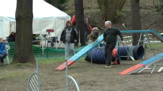 preview picture of video 'Agility-Turnier am 11. + 12.  April 2015 bei der OG Reinickendorf: Jörg Kantel und Joey'