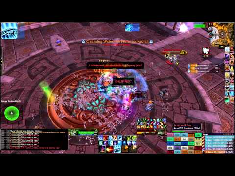 Blood Legion vs Heroic Protectors of the Endless 25M - World First (Mage PoV)