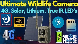 Ultimate Wildlife Camera? Talon Pro 4K Trail Cam Review 🦊📷