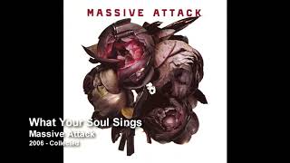 Massive Attack - What Your Soul Sings [2006 Collected]