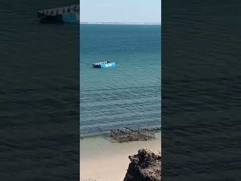 the best fish restaurant in dakhla #dakhlamaroc #moroccan beach