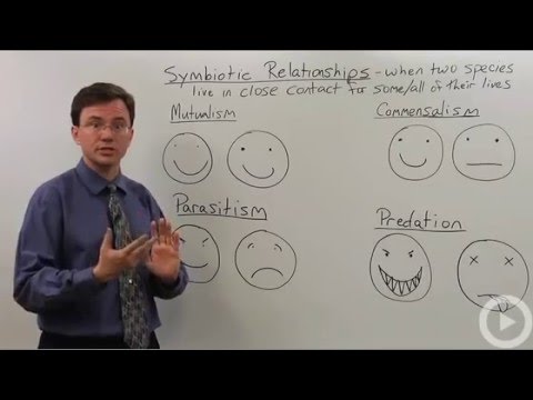 Symbiotic Relationships