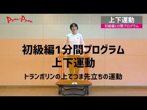 上下運動初級編 1113