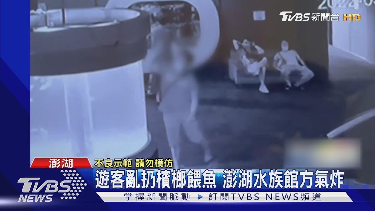 遊客亂扔檳榔餵魚 澎湖水族館方氣炸