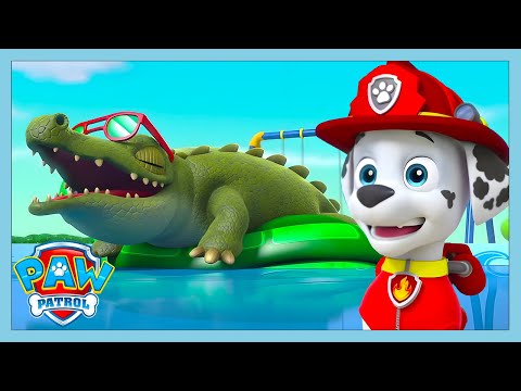 CROC IN THE POOL! | Paw Patrol | WildBrain Kids