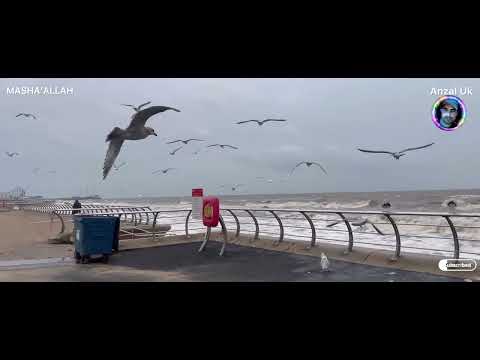 The waves are high.final visit of this year 2023