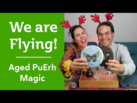 OUR BIGGEST RELEASE OF THE YEAR! Cross-Motion Conductor Aged PuErh Tea