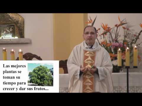 Homilía: La Alegría de servir