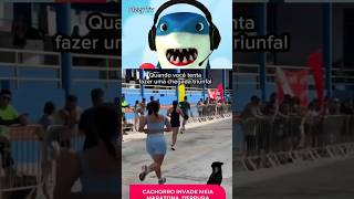 #tentenaorir  #memes #reacts #humor #reagindo