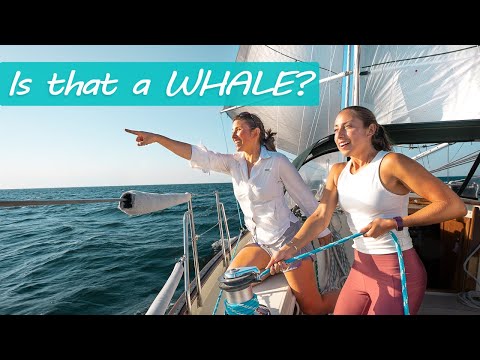 Sailing to Maine | S06E13