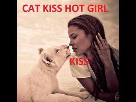 FUNNY CAT VS HOT GIRL