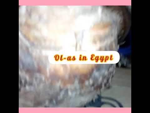 How to cook Colocasia. This is called Ol-as in Egypt.