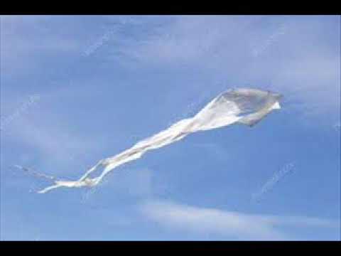 biały latawiec - Wawele & Jan Wojdak