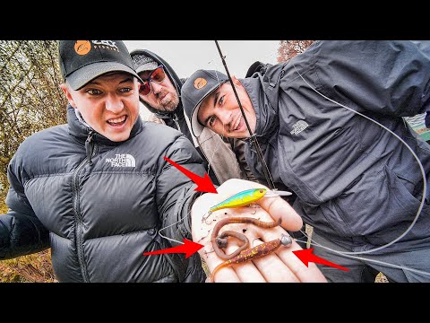 WURM vs GUMMI vs WOBBLER (unerwartetes Ergebnis)