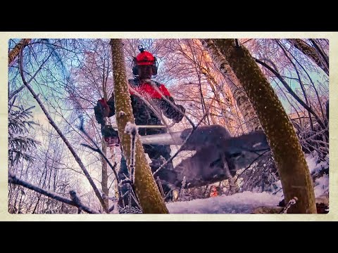 Kotomettän raivuuta