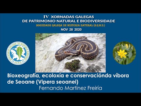 Vídeo: Bioxeografía, ecoloxía e conservación da víbora de Seoane