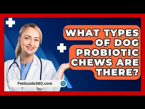 What Types Of Dog Probiotic Chews Are There? - PetGuide360.com