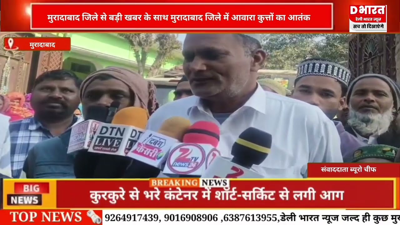 मुरादाबाद जिले मैं आवारा कुत्तों का आतंक