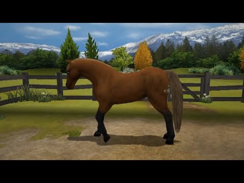 Pony Girl 2 PC