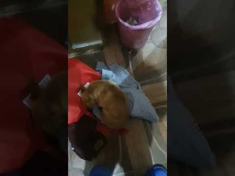 8 de diciembre de 2025