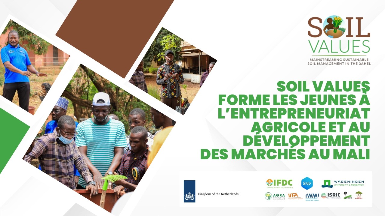 Soil Values forme les jeunes à l’entrepreneuriat agricole et au développement des marchés au Mali