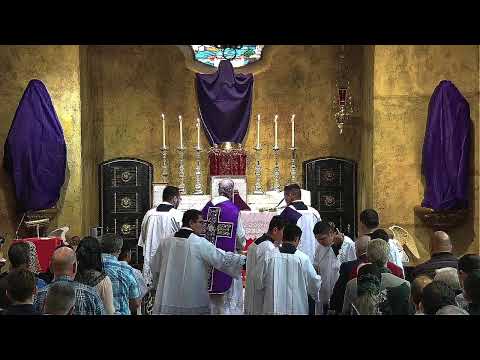 10:30 am Missa Cantata - Dominica II Passionis seu in Palmis