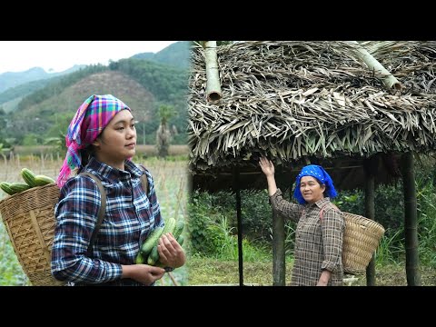 The Kind Woman and the Lesson in Trading That Opened a Path to Livelihood for Tieu Mi