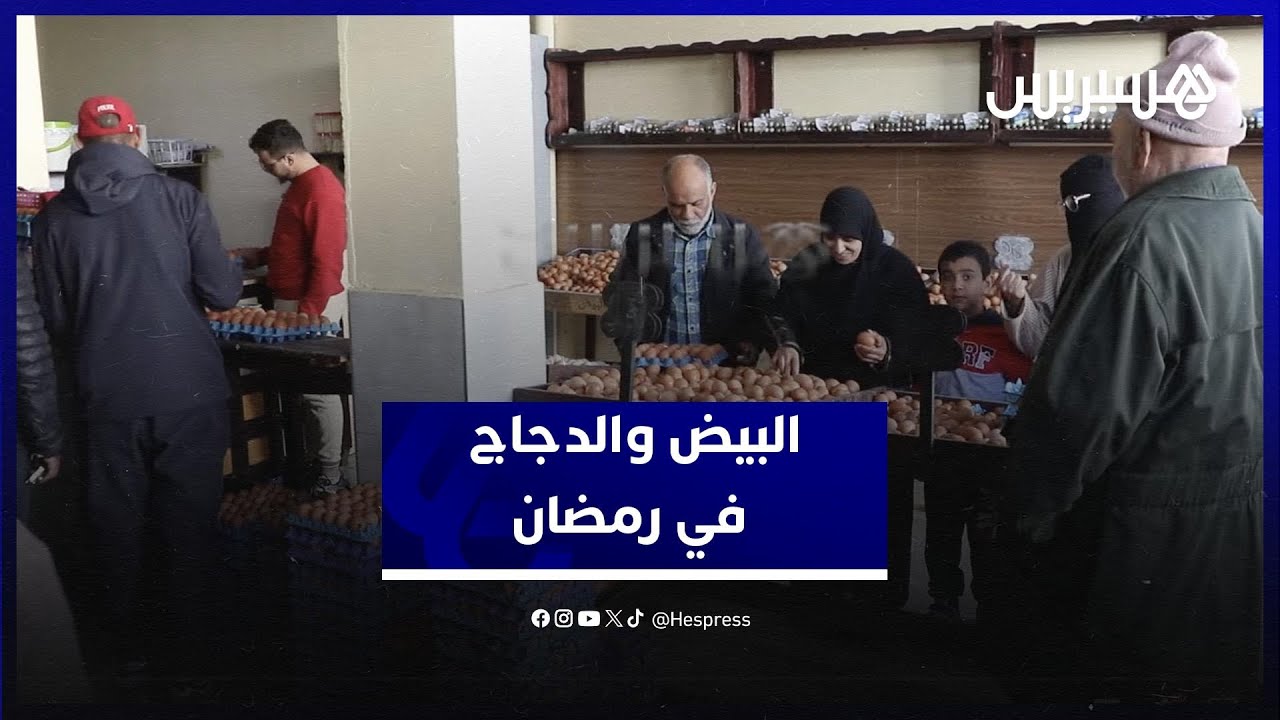 هل الأسعار في المتناول؟ مغاربة يعلّقون على أثمنة البيض والدجاج مع بداية رمضان thumbnail
