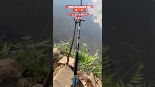 White Rabbit 240 8 Ft Telescopic Fishing Rod 🎣  #fishingrod #whiterabbit #fishingequipment