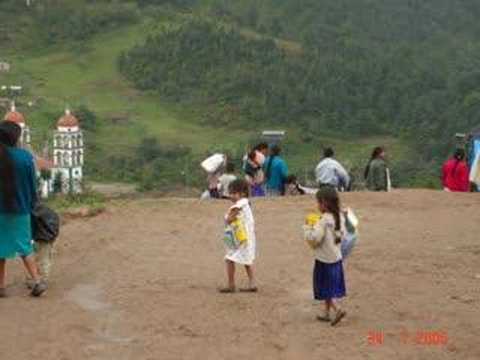 Semilla De Piedra video