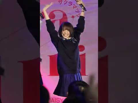 Summer Hatobito - SakuraMatsuri  24042022