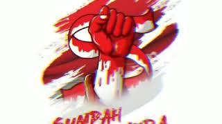 Download lagu Story WA - Sumpah Pemuda mp3