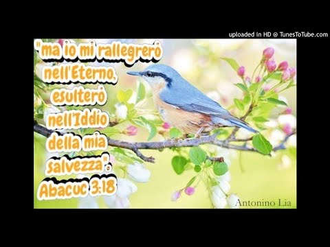 `Ma io mi rallegrero' nell'Eterno`Abacuc 3:16-19