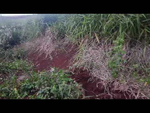 MOTOCICLISTA fica ferido em acidente na PR-239, entre Roncador e Nova Cantu 