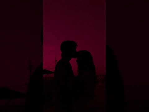 sash. - reason ft. Diimaa