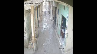 7 2 2024 ظهرا