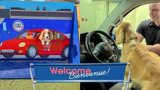 TRAVELLING TO FRANCE WITH A DOG | Eurotunnel & What you need to know before travelling to Europe