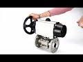 Elephant BV3232P DN65 80 SS304 Flanged Valve PA DA Actuator