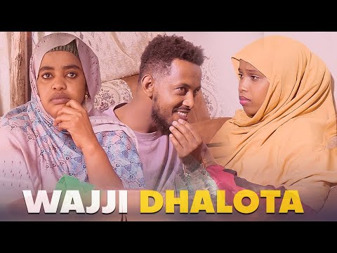 Faya Jiru | Wajji Dhalota | New movie Afaan Oromo | 2024