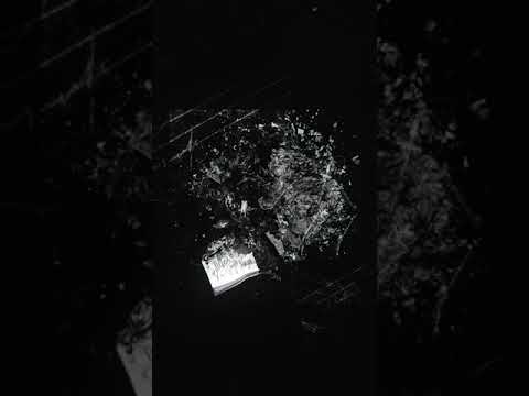 Video thumbnail for Цветы (Flowers)