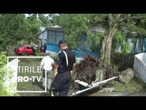 Panică în Botoșani după o vijelie care a smuls copacii: “Se zguduia blocul”