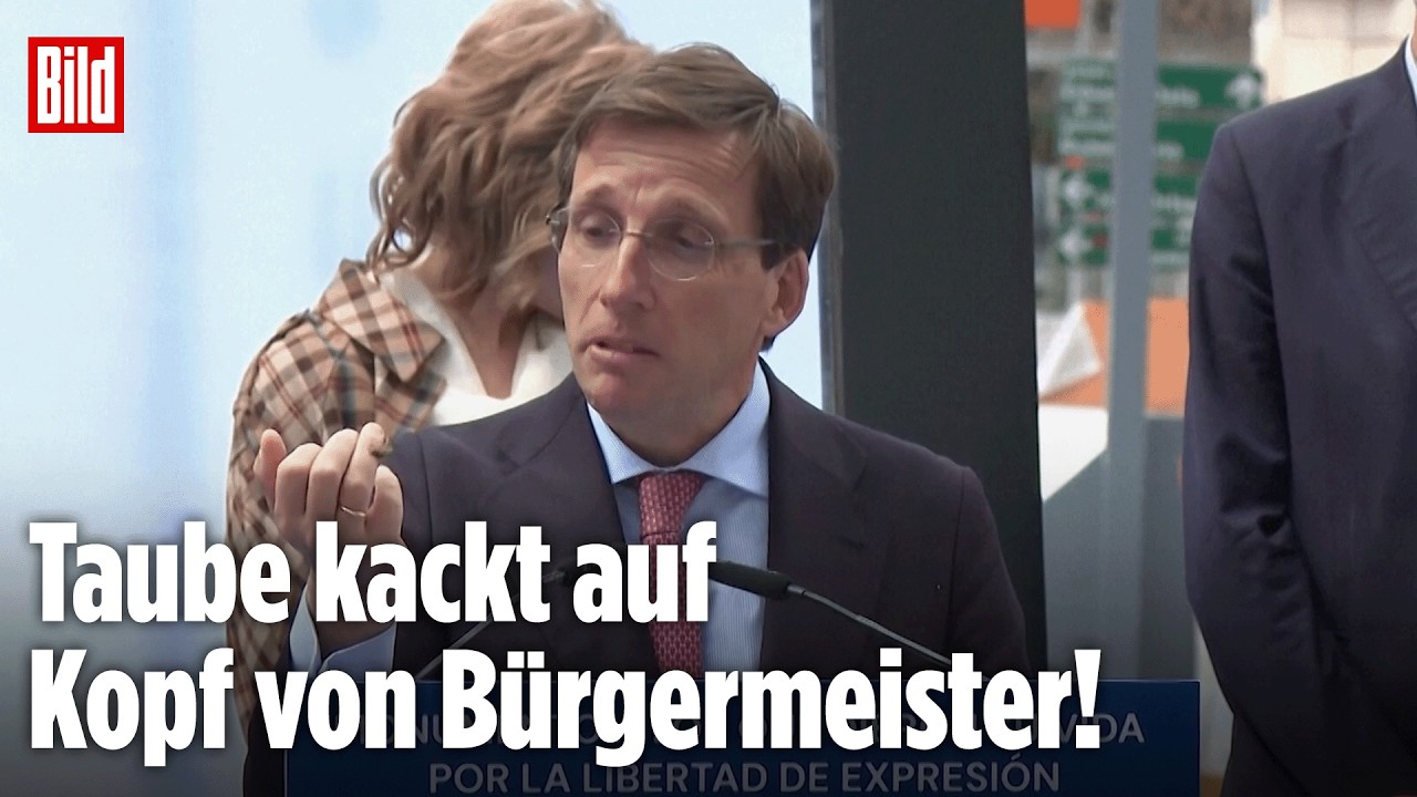 Tauben-Debakel live: Bürgermeister wird Opfer kurioser Panne