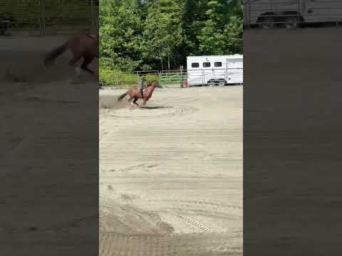 Let'er Buck Corrals- Kascade Corral video thumbnail